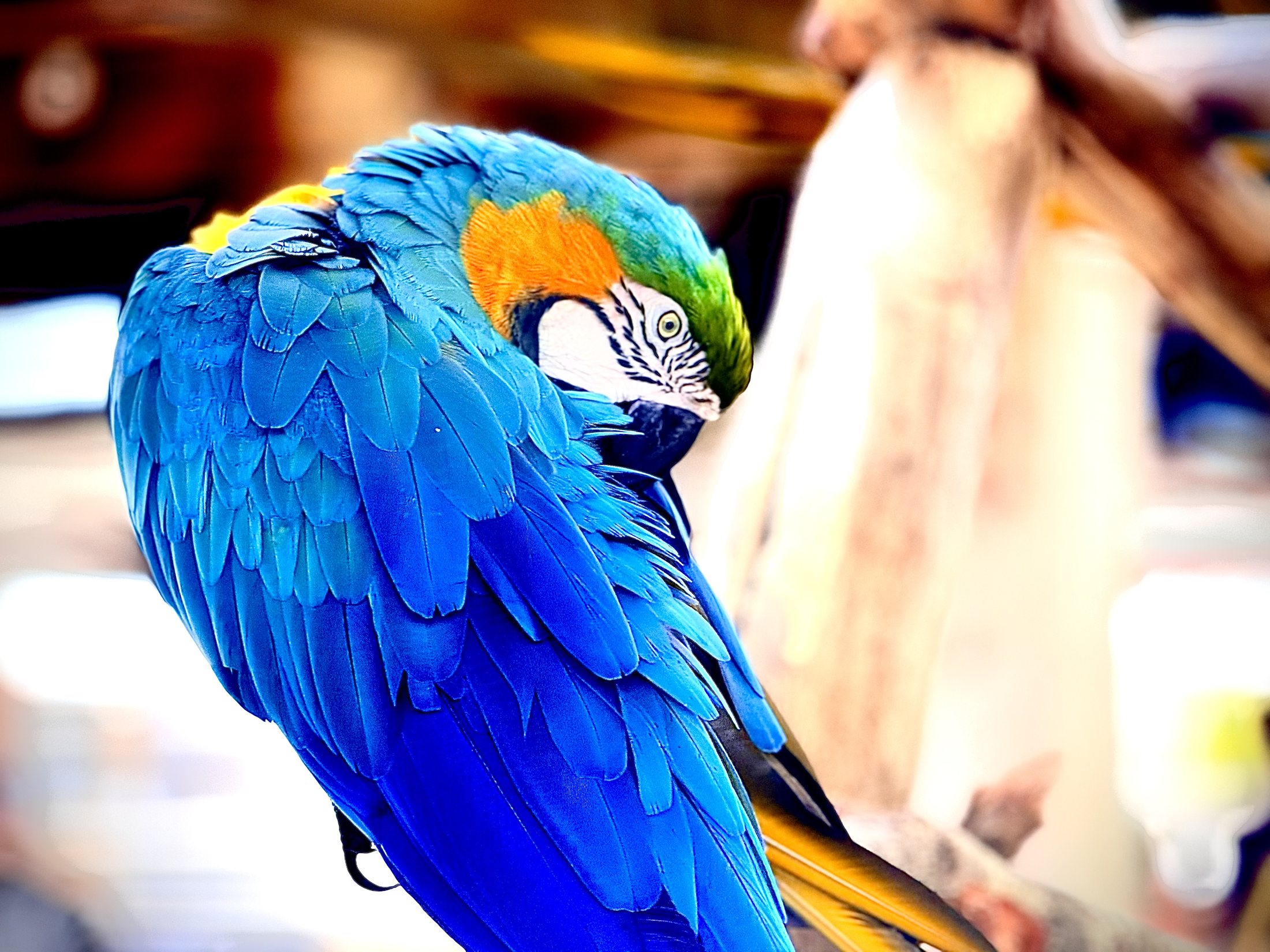 Wildlife & nature photograph by JGM Productions