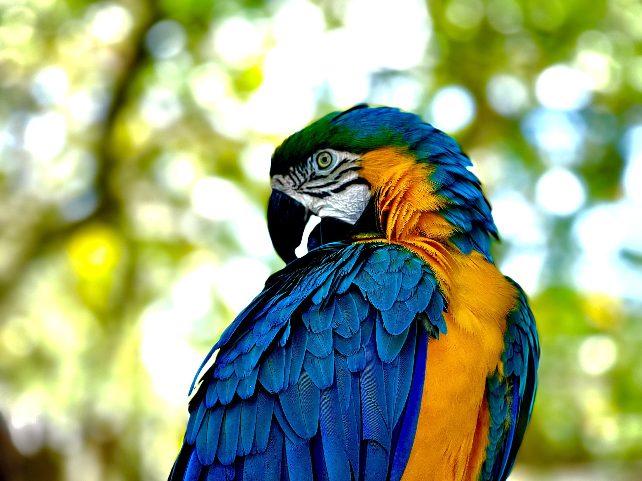 Wildlife & nature photograph by JGM Productions