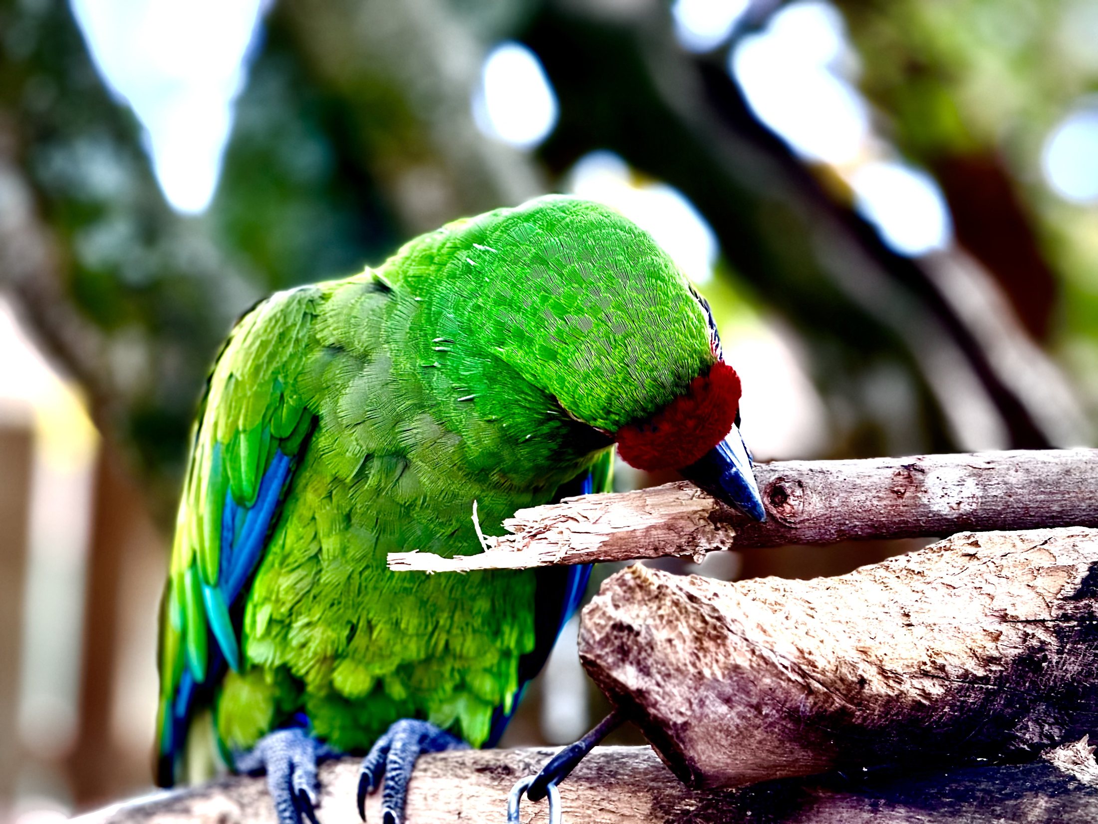Wildlife & nature photograph by JGM Productions